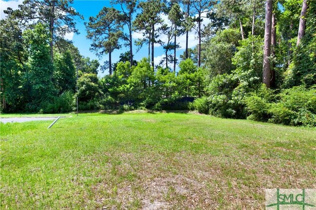 6921 Johnny Mercer Blvd, Savannah, GA 31410 - photo 12