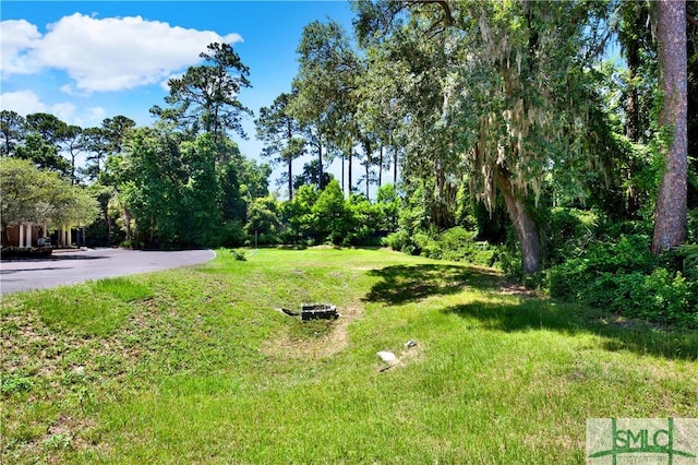 6921 Johnny Mercer Blvd, Savannah, GA 31410 - photo 14