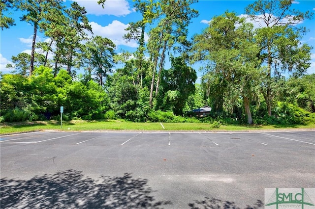 6921 Johnny Mercer Blvd, Savannah, GA 31410 - photo 20