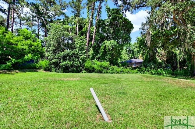 6921 Johnny Mercer Blvd, Savannah, GA 31410 - photo 23