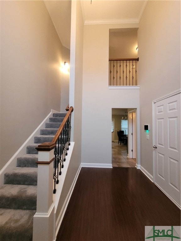 staircase featuring a towering ceiling and hardwood / wood-style floors