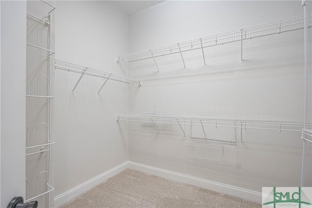 spacious closet with carpet