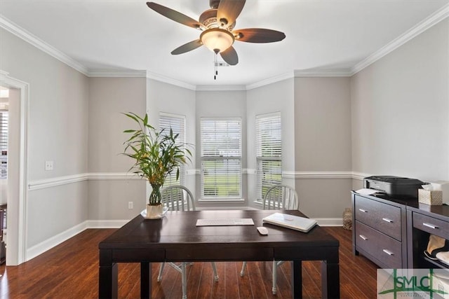 office featuring ceiling fan, dark hardwood / wood-style flooring, and crown molding