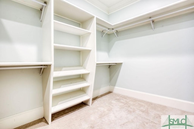 walk in closet featuring light colored carpet