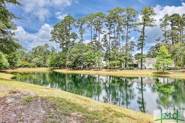 property view of water