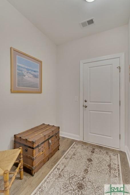 foyer with wood-type flooring