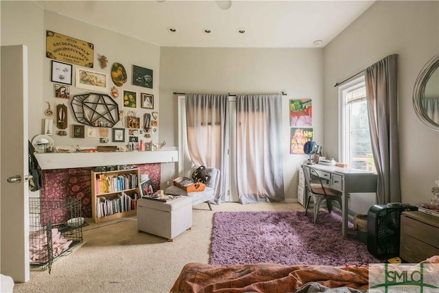 sitting room with carpet