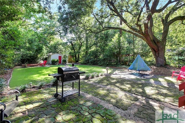 view of yard with a patio area and a storage unit