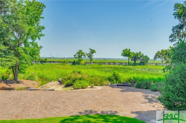 view of yard with a rural view