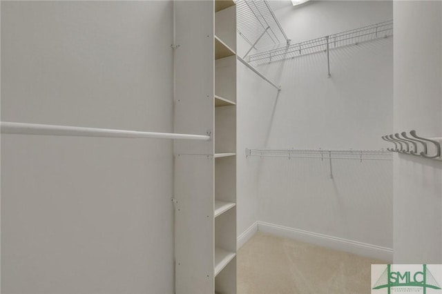 walk in closet with light colored carpet