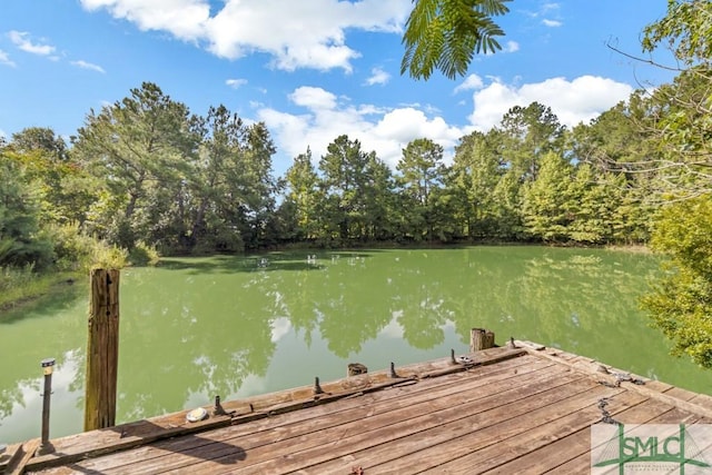 view of dock with a water view