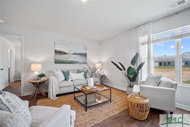 living room with wood-type flooring