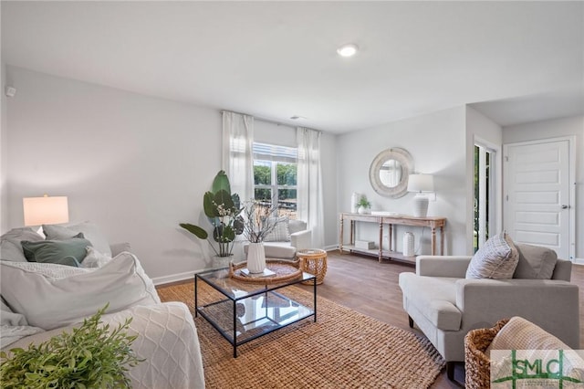 living room featuring wood-type flooring