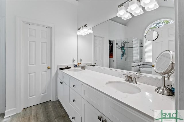 bathroom featuring vanity and walk in shower