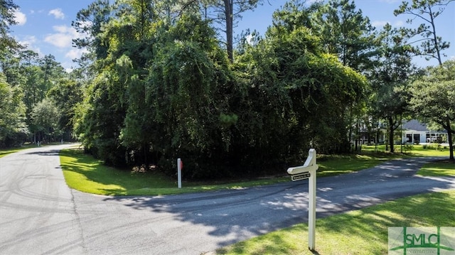 LOT190 Winterberry Ct NE, Townsend GA, 31331 land for sale