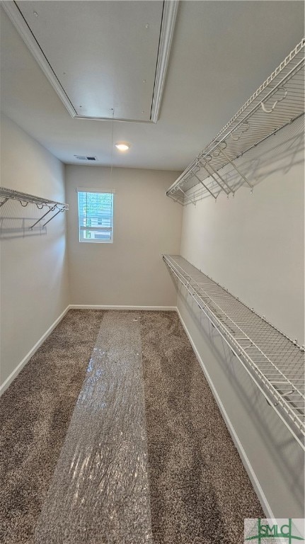 spacious closet featuring carpet