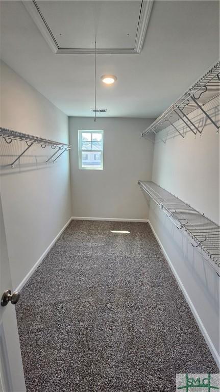 spacious closet with visible vents, attic access, and carpet flooring