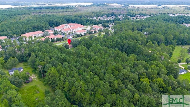 1325 Pine Barren Rd, Pooler, GA 31322 - photo 6