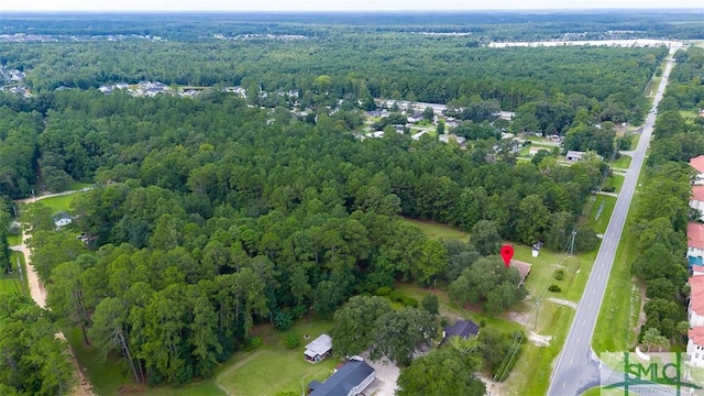 1325 Pine Barren Rd, Pooler, GA 31322 - photo 9