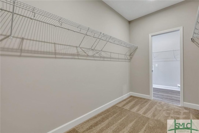 walk in closet featuring carpet floors