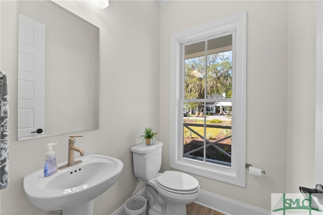 bathroom with sink, wood-type flooring, and toilet