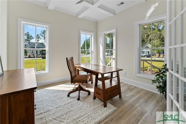 dining area with light hardwood / wood-style floors and a healthy amount of sunlight