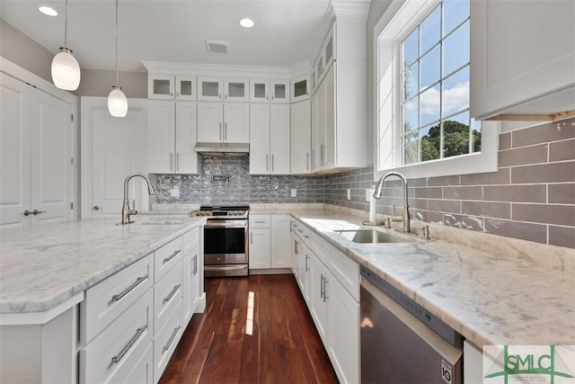 kitchen with appliances with stainless steel finishes, a sink, dark wood finished floors, and under cabinet range hood