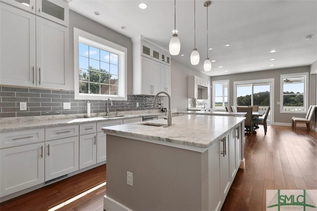 kitchen with an island with sink, dark wood finished floors, and a sink