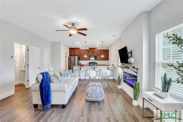 living room with ceiling fan and wood-type flooring