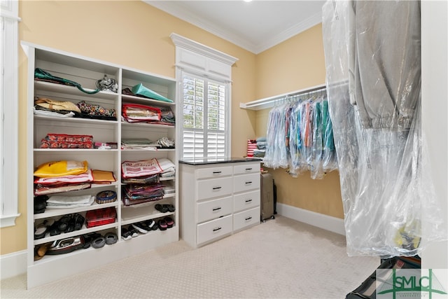 spacious closet featuring light colored carpet