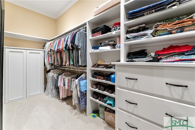 walk in closet with light colored carpet