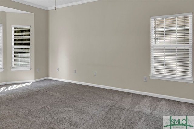 carpeted spare room featuring ornamental molding