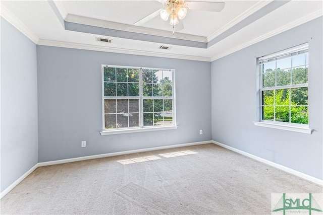 spare room with a wealth of natural light, a tray ceiling, and visible vents