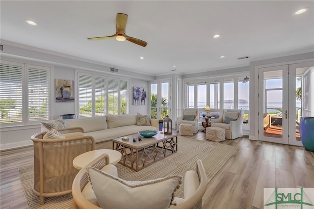 living room with light wood-type flooring and a wealth of natural light