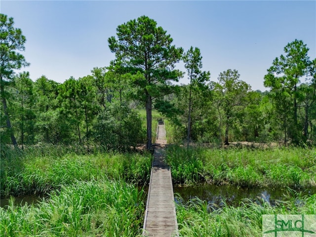 312 Mcallister Lndg, Richmond Hill, GA 31324 - photo 8