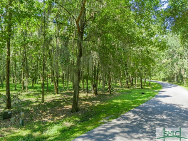 312 Mcallister Lndg, Richmond Hill, GA 31324 - photo 17