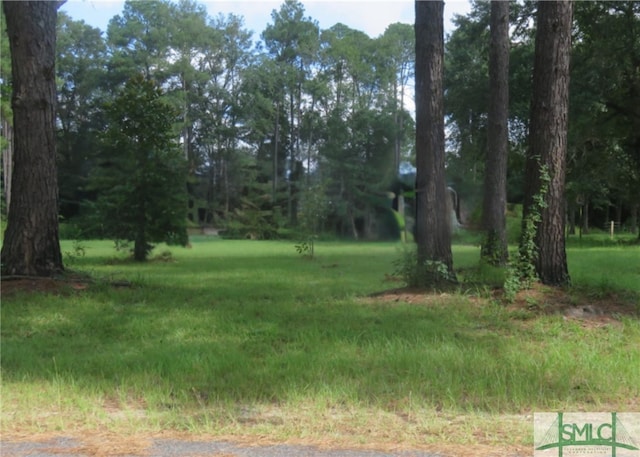 305 Woodside Way, Ellabell GA, 31308 land for sale