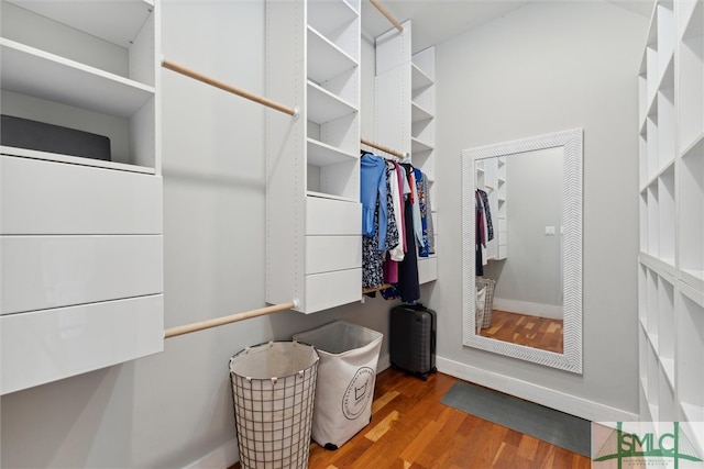 walk in closet featuring hardwood / wood-style flooring