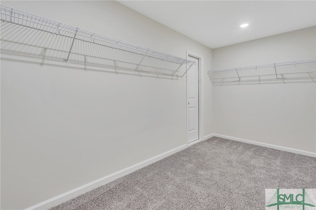 walk in closet featuring carpet