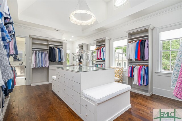 walk in closet featuring a raised ceiling and dark hardwood / wood-style flooring