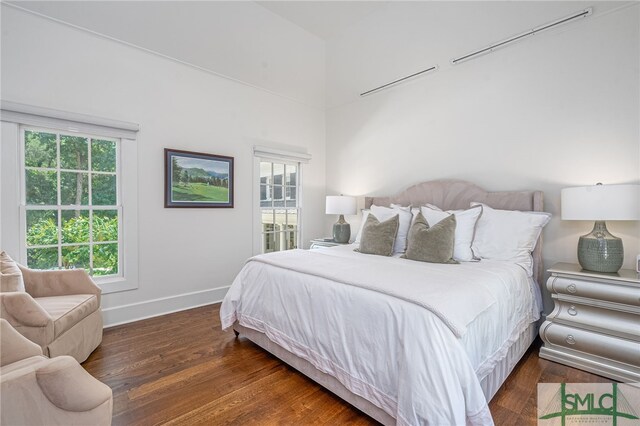 bedroom featuring multiple windows and dark wood-type flooring