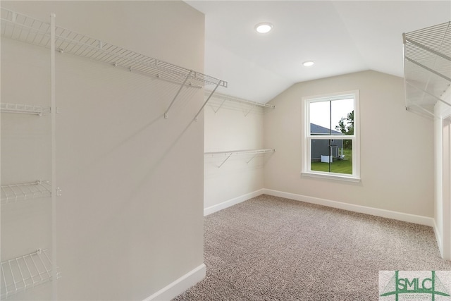 walk in closet featuring vaulted ceiling and carpet floors