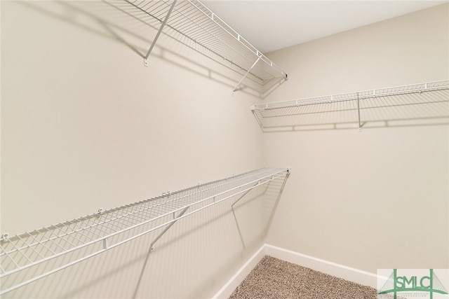 walk in closet featuring carpet flooring