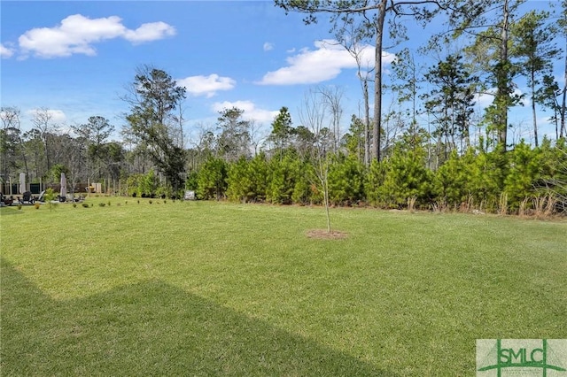 51 Hanover Pl, Richmond Hill, GA 31324 - view of yard