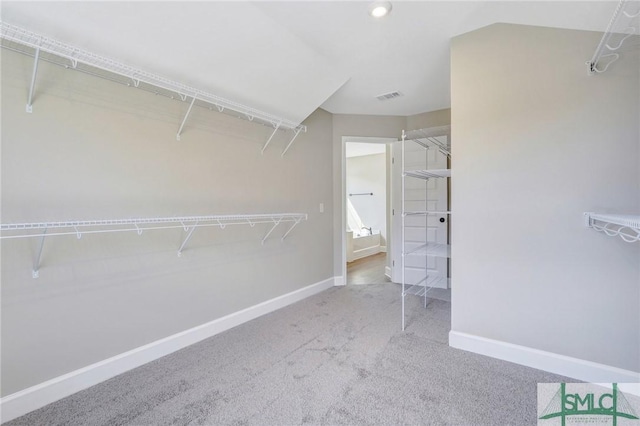 51 Hanover Pl, Richmond Hill, GA 31324 - walk in closet featuring visible vents and carpet floors