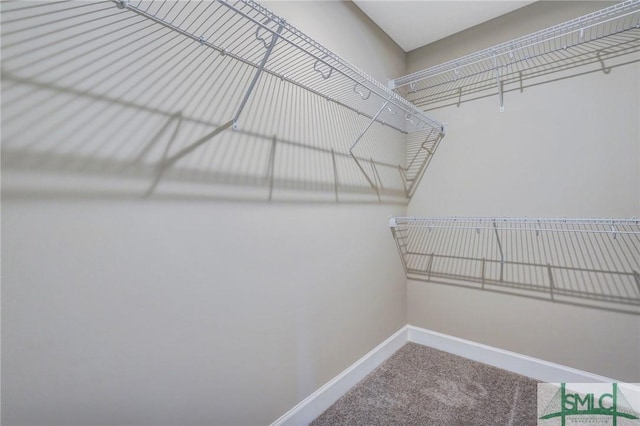 51 Hanover Pl, Richmond Hill, GA 31324 - spacious closet featuring carpet flooring
