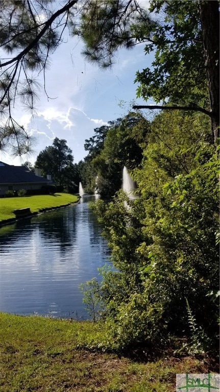 property view of water