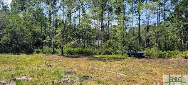 1367 Low Ground Rd, Guyton GA, 31312 land for sale