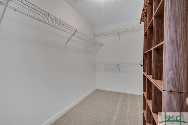 spacious closet featuring carpet floors