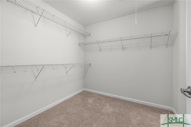 spacious closet with carpet flooring